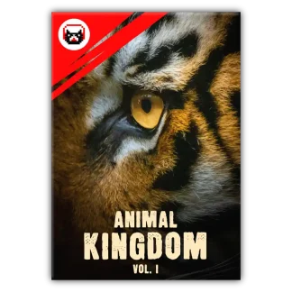 dramatic cat animal kingdom vol 1 sound effects library