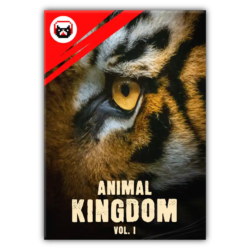 dramatic cat animal kingdom vol 1 sound effects library