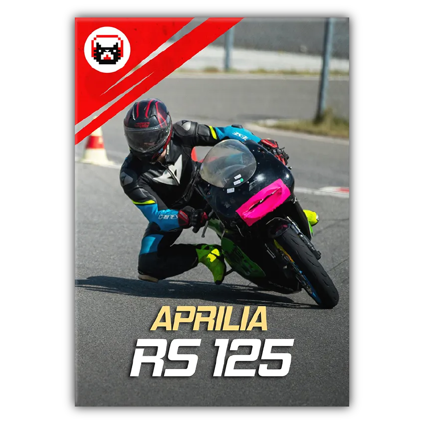 aprilia rs 125 sound effects library