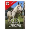 Covers_Website_HorseCarriage_square