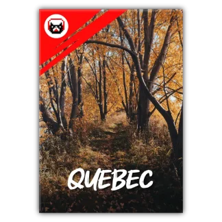 quebec ambience sound effects library nature animals birds dramatic cat