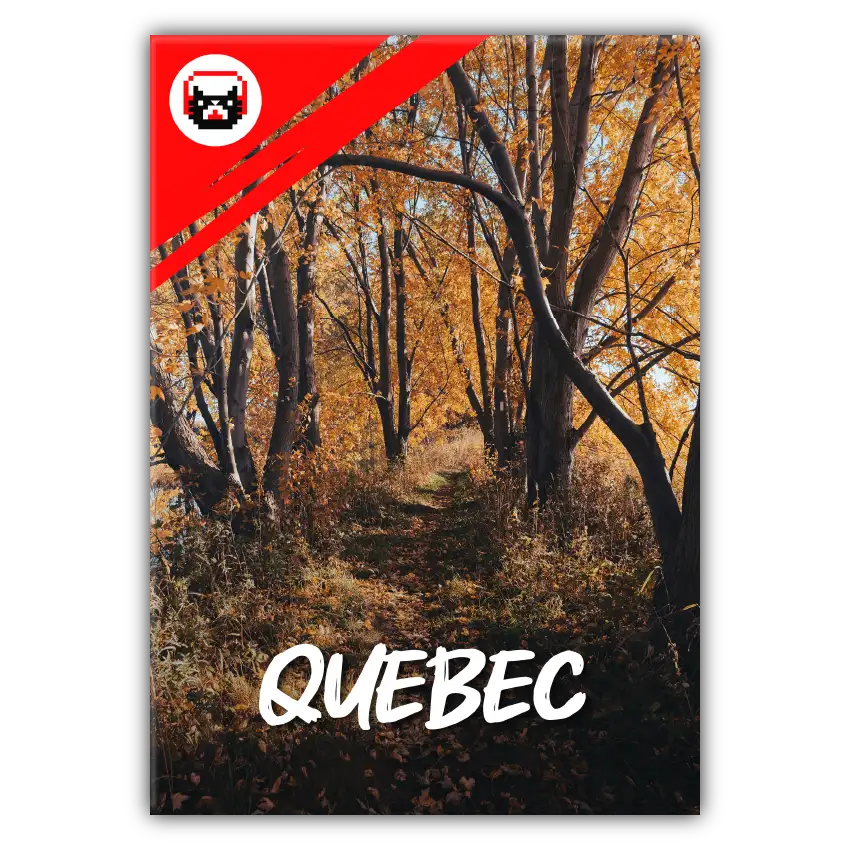 quebec ambience sound effects library nature animals birds dramatic cat