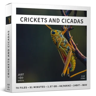 Crickets and Cicadas Sound Effects Library