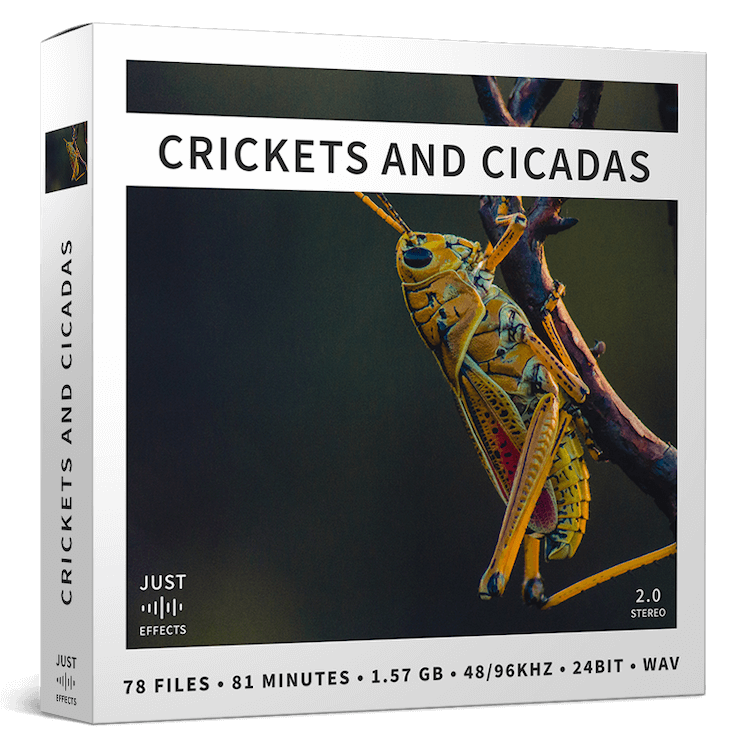 Crickets and Cicadas Sound Effects Library